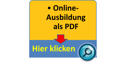 Online-Ausbildung als PDF